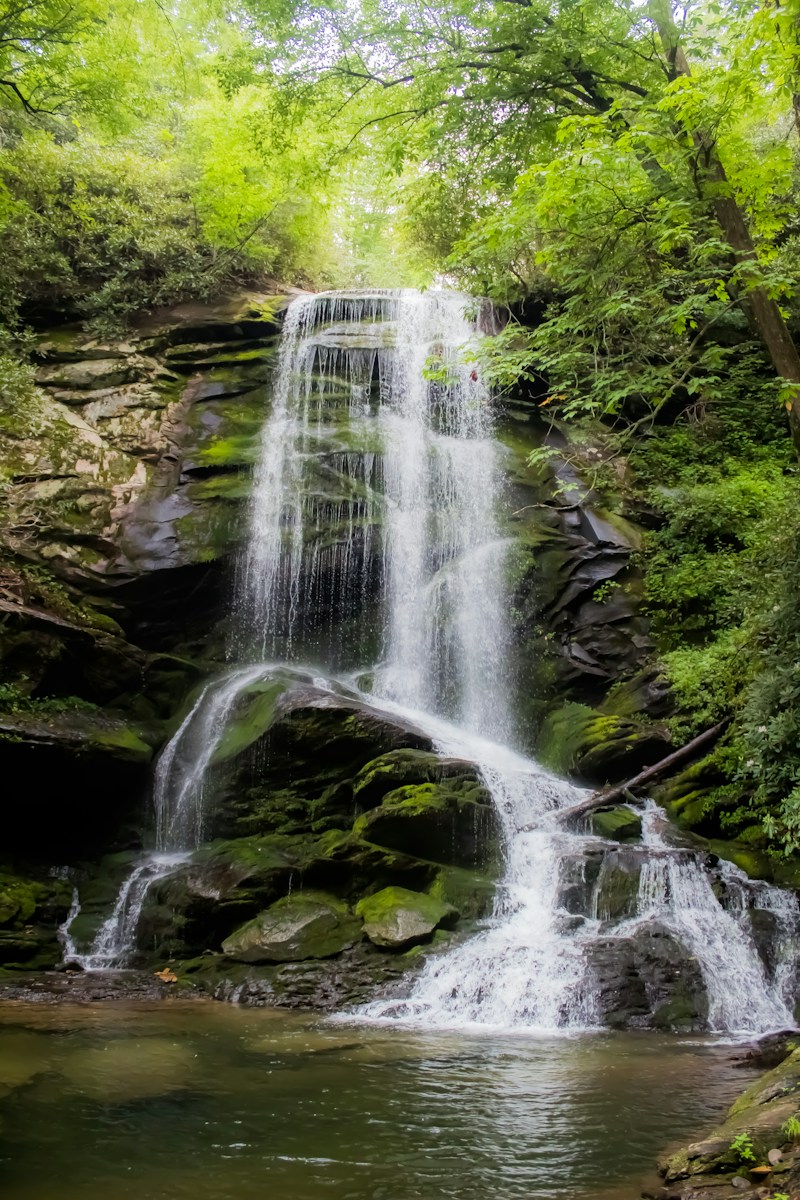 One doesn’t have to travel far to find a great getaway. If you have never explored the Southwestern end of the Appalachian foothills, why not? We have some of the most unique treasures not to be found anywhere else. Planning a trip can be time consuming, regardless if it is for the family, a group at your local church, a school field trip, or business will find helpful ideas. While this is not an exhaustive travel guide, South of the Smokies was written to help brainstorm the possibilities . A variety of ideas are given for every age, taste, and budget. Most of the treasures are convenient to north Georgia and north Alabama. Some are along the way to popular destinations, such as the coast of traveling through the Smokies. A well-planned journey can prevent some of the inconvenience associated with traveling. Some want first-class amenities, while others want a taste of small-town, Southern flavor. Some places are open all day, or the sidewalks roll up at a certain time every day. Some things may be seasonal, or better for certain age groups. The entries have been shared for information only, so the readers may decide for themselves if they would like to sample some of the unique treasures found along the way. Be sure to check out the contact information provided before setting out on your journey, due to the fact that unexpected changes might have occurred after writing, or of course the possibility of human error. — more scenes and local spots from this guide