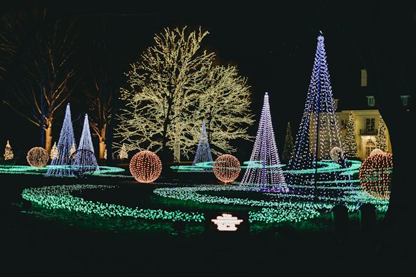 Nettles Family Christmas Lights — more scenes and local spots from this guide