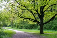 Garden Tours — highlights and attractions from this guide