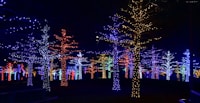 Christmas Concerts — more scenes and local spots from this guide