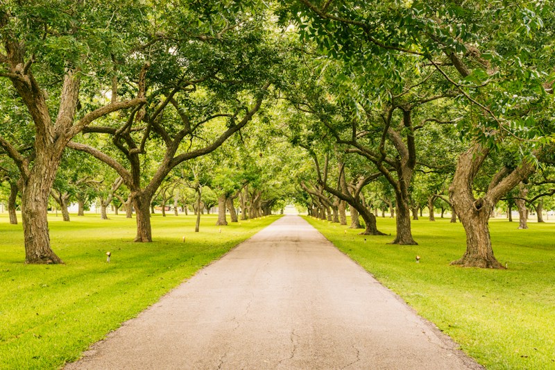Silver Comet Trail & City Park — highlights and attractions from this guide