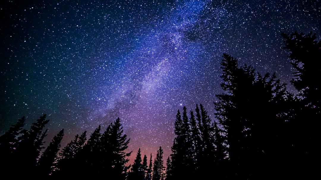 Wilderness Theater — highlights and attractions from this guide