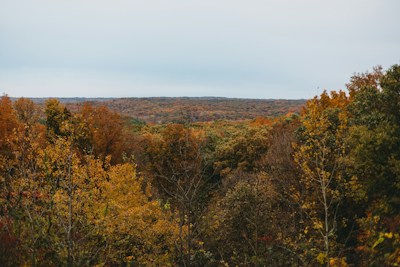 Georgia State Park Events — highlights and attractions from this guide