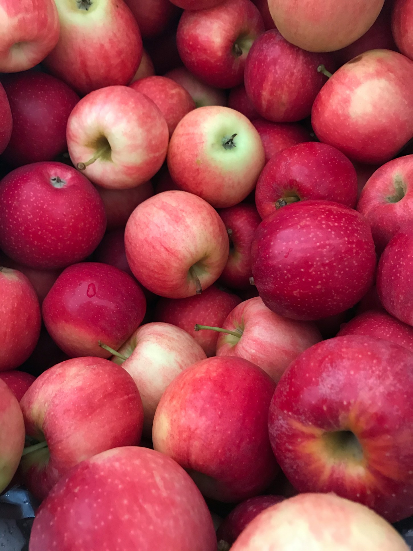 Apple Butter Recipe — more scenes and local spots from this guide