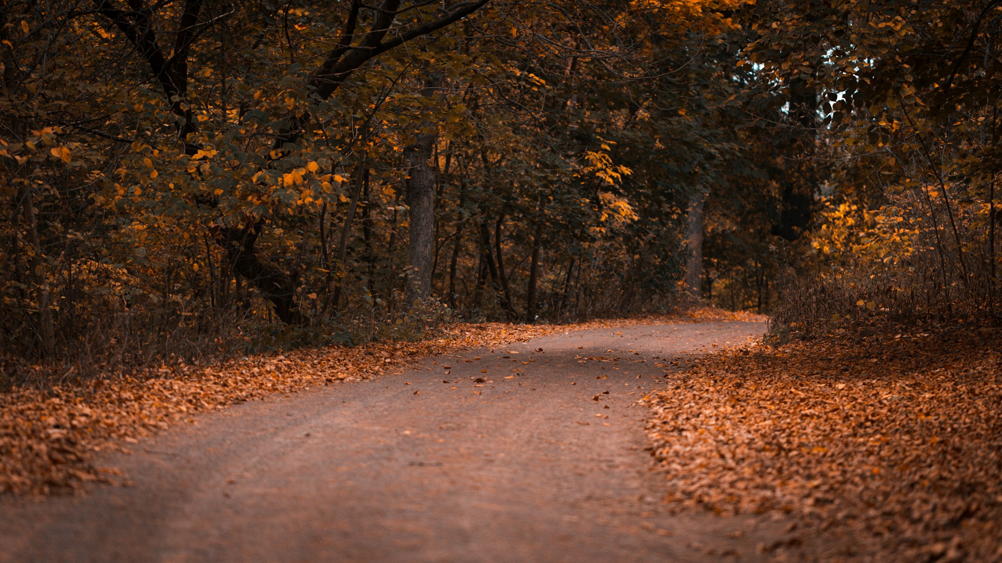 Start Here — more scenes and local spots from this guide