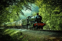 ALL ABOARD-Trains — more scenes and local spots from this guide