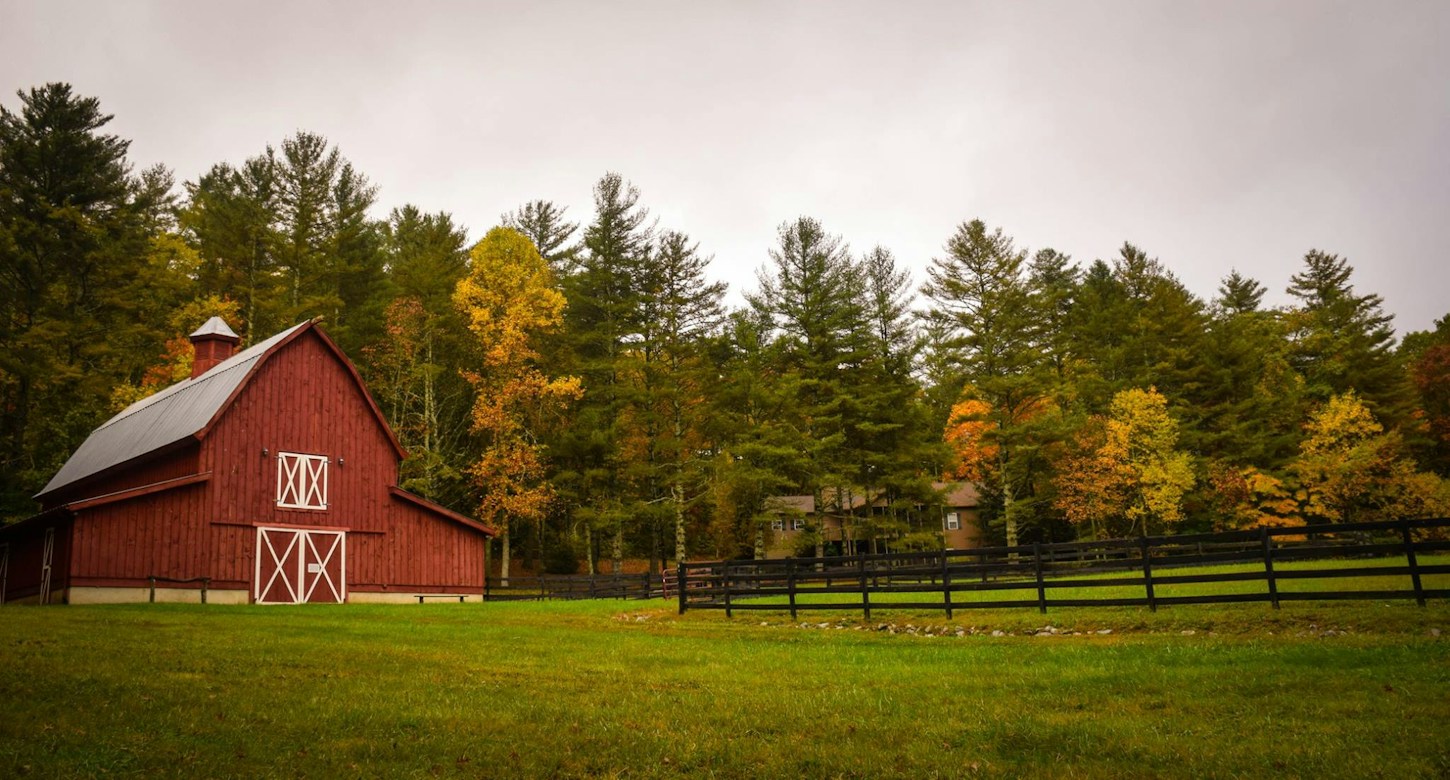 Farmview Market Madison, GA. — highlights and attractions from this guide