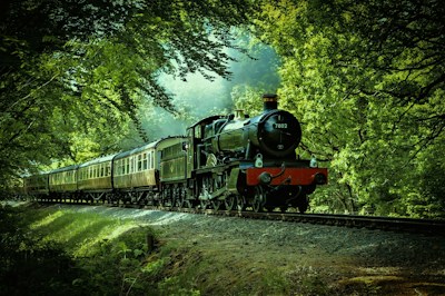 Train Trips Sign up for our email newsletter and keep up with announcements about NW Georgia Train Trips. Call 770-723-6574 — highlights and attractions from this guide
