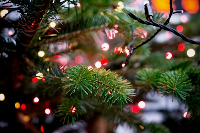 Christmas in the Park — more scenes and local spots from this guide