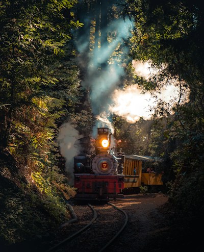 Heart of Dixie Railroad Museum — highlights and attractions from this guide