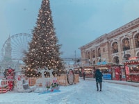 Find The Perfect Tree This Season — highlights and attractions from this guide