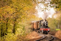 ALL ABOARD-Trains — more scenes and local spots from this guide