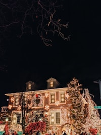 Christmas Concerts — highlights and attractions from this guide