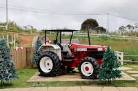Pick Your Own Christmas Tree — highlights and attractions from this guide