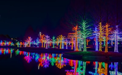 Wonderland Under Warrior — highlights and attractions from this guide