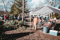 Pick Your Own Christmas Tree — more scenes and local spots from this guide